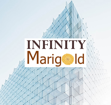 infinity marigold project